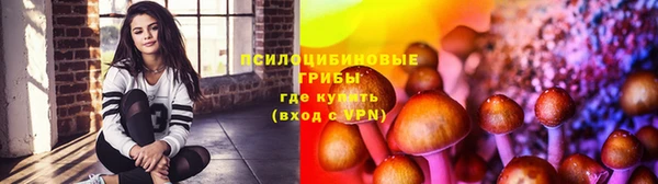 прущие крисы Алексин